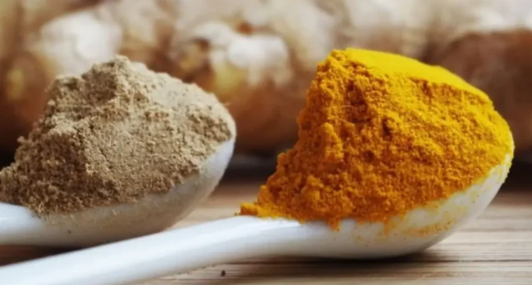 Curcuma Raiz: O segredo da saúde vibrante em 2025!